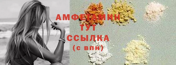 индика Богданович