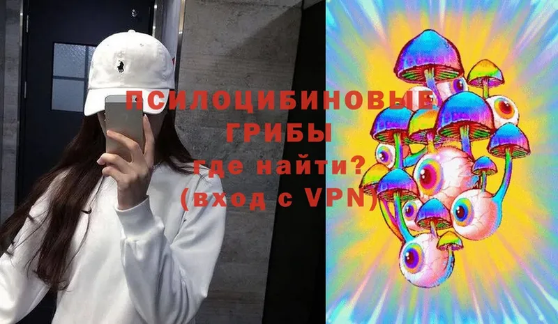 Псилоцибиновые грибы Psilocybe  Пошехонье 